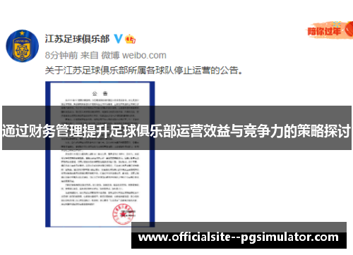 通过财务管理提升足球俱乐部运营效益与竞争力的策略探讨