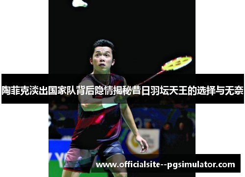 陶菲克淡出国家队背后隐情揭秘昔日羽坛天王的选择与无奈