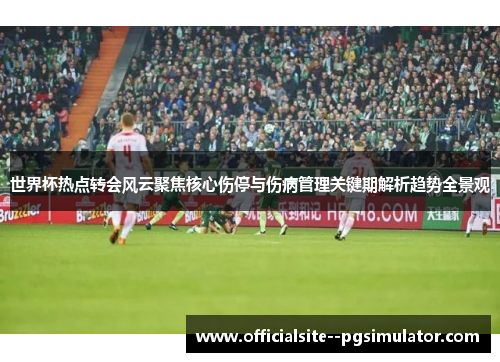 世界杯热点转会风云聚焦核心伤停与伤病管理关键期解析趋势全景观