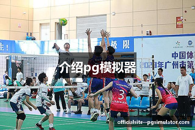 介绍pg模拟器
